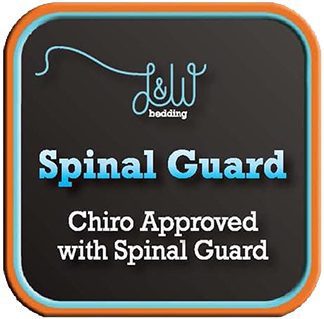 Spinal-Guard-Logo